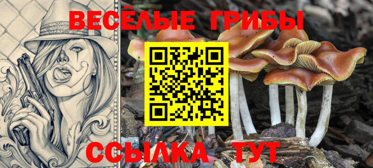 Приморско-Ахтарск  наркотики  Вход с VPN  Псилоцибиновые грибы MAGIC MUSHROOMS 